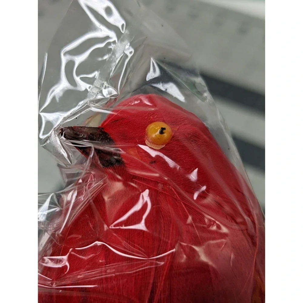 Red Bird Ornament‎ Figure Lot and Cute Box
